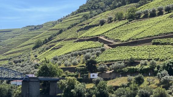 Portugal Porto pergi-balik | Lembah Douro + Ladang Anggur + bandar Pinhão sewaan peribadi lawatan sehari