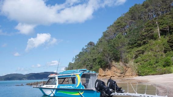 From Paihia: Hole in the Rock Cruise & Island Tour: 3 Hour