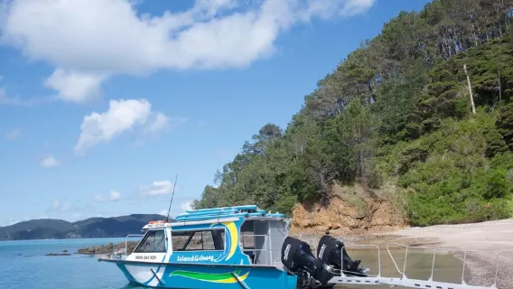 Depuis Paihia : Croisière Hole in the Rock & Visite de l'île : 3 heures