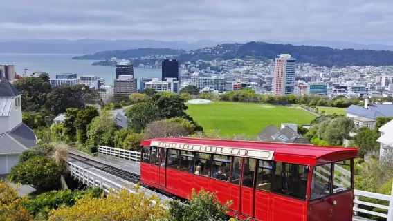 惠靈頓：國家博物館+維塔工作室+百年纜車+山海全景 不含門票