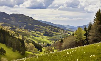 ElzLand Hotel Pfauen Wellness & Spa