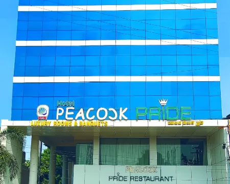 Hotel Peacock Pride Hotels in Karimnagar