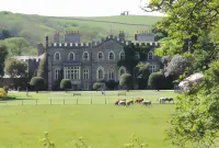 The Royal Hotel Hotels in Buckland Brewer