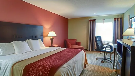 Quality Inn & Suites Pine Bluff AR