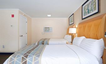 Mount Royal Inn - Housity