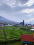 Omah Kayoe Elok