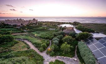 Dar Danse, the Bubble on the Beach