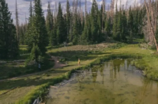 Two Bedroom Farmhouse Cottage No. 1