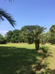 Nite & Day MDC Puncak - Gadog Hotel dekat SEMAK DAUN VILLAGE