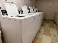APM Inn & Suites - Pet friendly