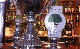 Old Oak Tree