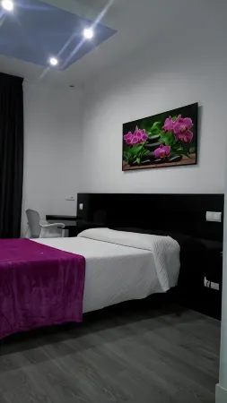 Hostal Buenos Aires Отели рядом с достопримечательностью «Королевский ботанический сад Мадрида»