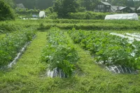 Pension Chauchau Hotel a Hakuba