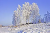 Semejnyij Hotel Lesnoj Bereg Hotels in Breytovsky District