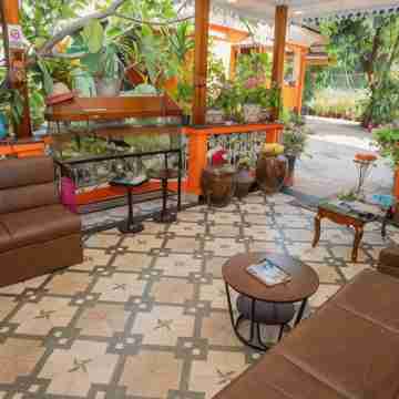 Resort Palmeiras Dourado Hotel Exterior