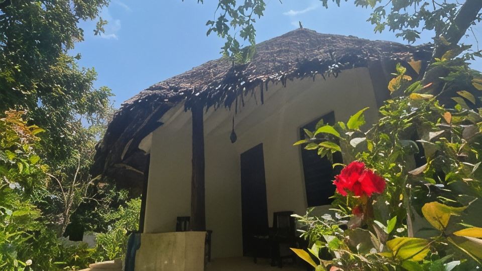 Mangrove Lodge