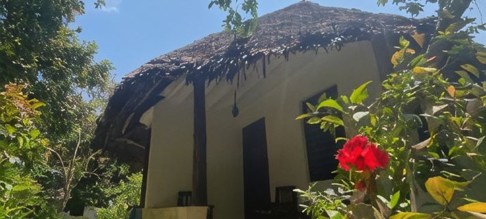 Mangrove Lodge Hotels in Urban