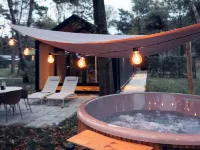 Wellness Lodge Hottub Hotels in Haarle