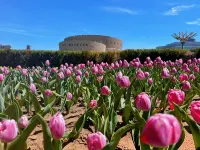 ORDOS LANFENG HOTEL - Mountain View