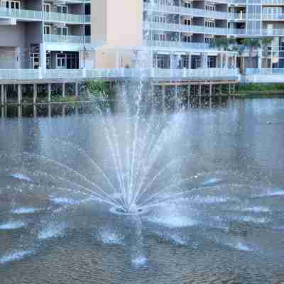 Perfect views! Incredible experience! Best onsite restaurants and shops! Others