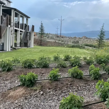 Luxury Large Farm Home @ Stoney Farms -NO CHOREs