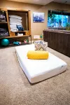 Cozy CO Casa: Eco & Pet Friendly—Sleeps up to 8, Remote Work Hub, Rec Center