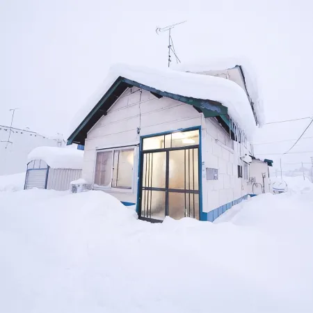Nordic House