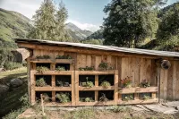 Les Cèdres Hôtel - Restaurant - Spa - Spa