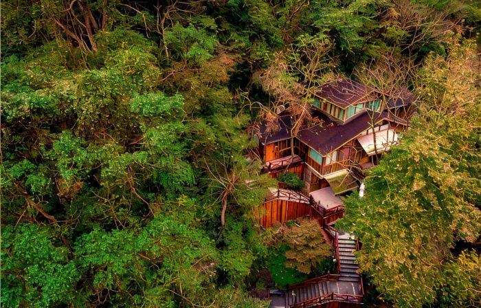 Ninghai Forest Hot Spring Resort