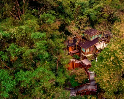 Ninghai Forest Hot Spring Resort Hotels in Ninghai