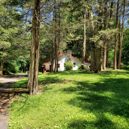 Charming Artist's Retreat