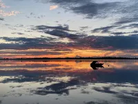 Lake Front Cabin with Amazing Sunsets- Easy Access to the Inland Sea - Hytter