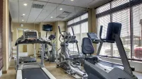 Holiday Inn MERIDIAN E - I 20/I 59 by IHG - Gym