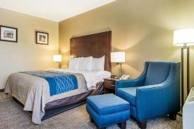 Comfort Inn Atlanta Downtown South