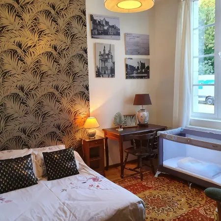Large apartment between Loire and Château