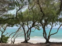 Turtle Hideaway is close to Beach in Silversands, Barbados only a 3 minute walk. Hotels in Silver Sands