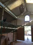 Wine Country Working Wool Sheep Farm Stay; Hay Barn Cottage 501c3 - Apartments