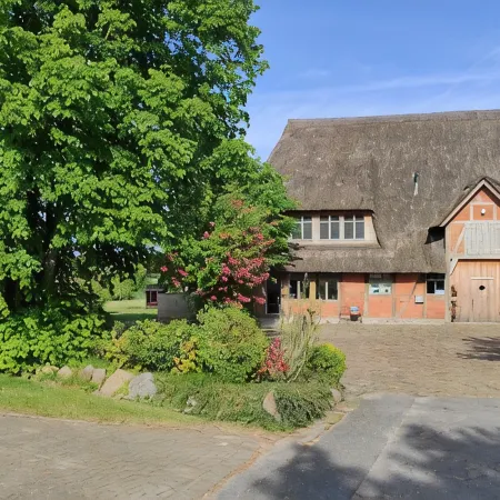 Modern studio apartment under thatch