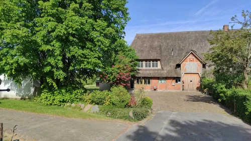 Modern studio apartment under thatch