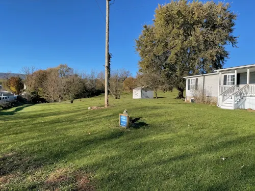 Life at the Dairy Farm