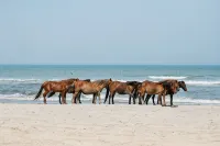 Don’t Worry, Beach Happy at Beacon Quarters - Beach