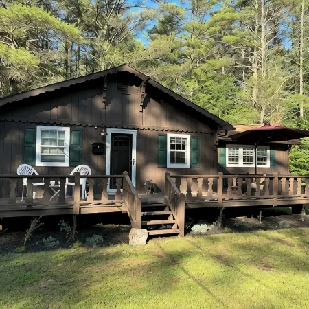 3 bedroom cabin in Chestertown with hot tub, fireplace, fire pit, wifi, and more