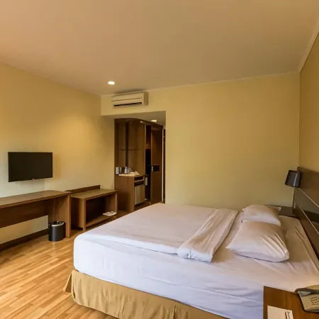 Star Hotel Pontianak Отели рядом с достопримечательностью «Памятник Digulis»
