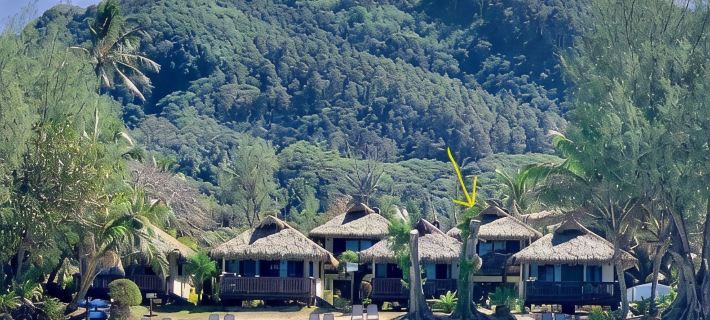 Muri Shores Hotels in Rarotonga