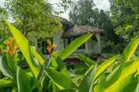 Bird Of Paradise - Ahangama Villa - 2-Star