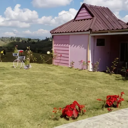 Lovely Farm
