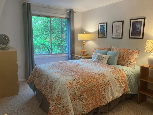 Cozy, Stylish 3-Bedroom Mid-Century Chalet in Pocono Pines' Lake Naomi - homestay
