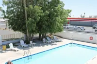 Torch Lite Lodge - piscina