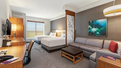 Hyatt Place Tampa/Wesley Chapel - baignoire