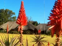 African Flair Country Lodge - Pet friendly